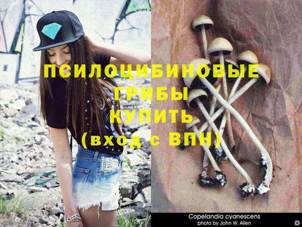 марки nbome Протвино