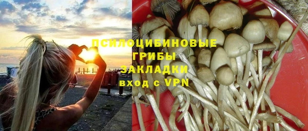 мяу мяу мука Приозерск