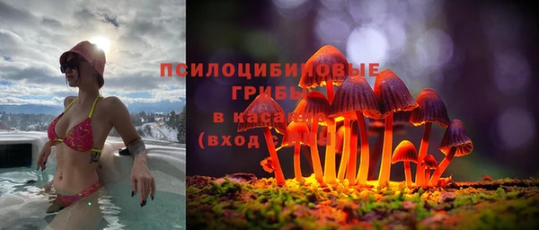 хмурый Пролетарск